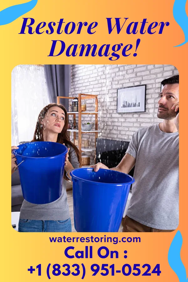 water restoration Apex Water Cleanup Experts Wesley Chapel